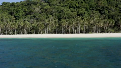 Wide View of Tropical Puka Shell Beach with Palm Trees and Forest, Boracay, Phil Stock Footage 340321364