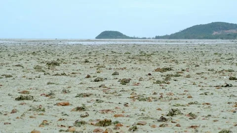 Wide View of Tropical Tidal Flat During Low Tide. Koh Samui. Thailand. Stock Footage 340868897