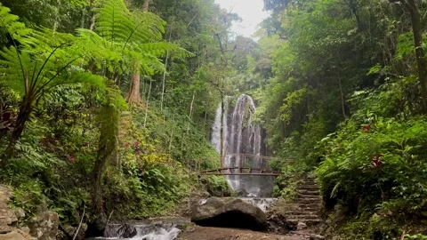 Wide View Of Tropical Waterfall And Wooden Bridge In Bali Jungle 库存影片 342194824