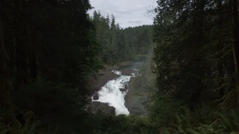Wide view of waterfall surrounded by tall trees and thick vegetation Stock Footage 119156009