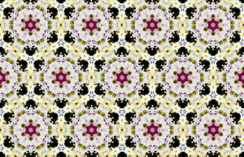 Wide vintage seamless background pattern. Rose, poppy, wild flowers with nigh Stockfoto's