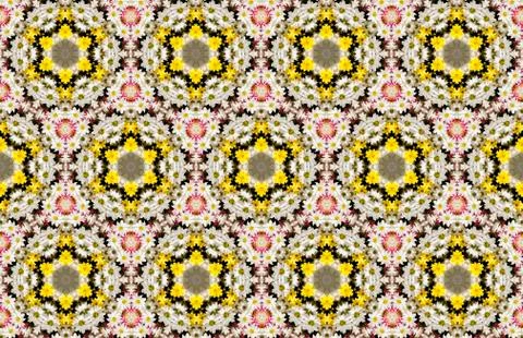 Wide vintage seamless background pattern. Rose, poppy, wild flowers with nigh Stockfoto's
