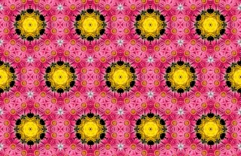 Wide vintage seamless background pattern. Rose, poppy, wild flowers with nigh Stockfoto's