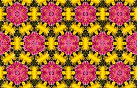 Wide vintage seamless background pattern. Rose, poppy, wild flowers with nigh Stockfoto's