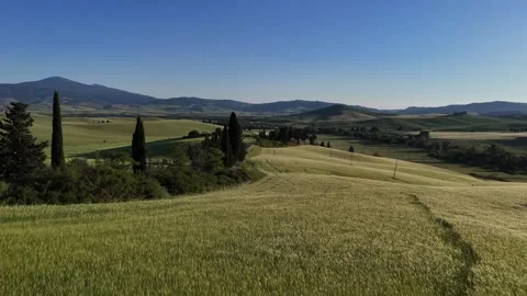 Wide Vista of Rolling Grain Fields and Cypress Trees in Tuscany Vidéo 347250452