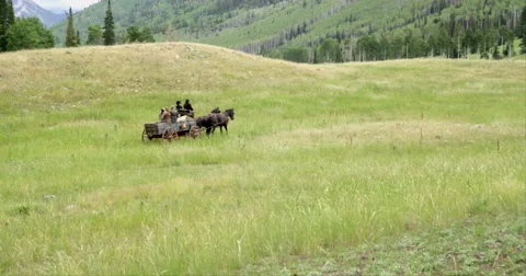 Wide of Wagon and Horses Stock Footage 43402690