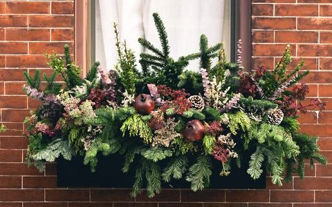 Wide window box arrangement filled with winter seasonal flowers and plants full Stock Photos