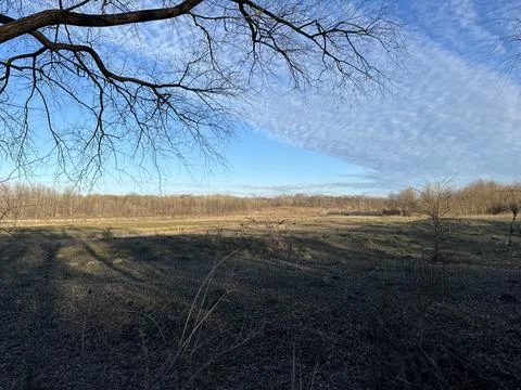 Wide Winter Field with Bare Trees and Blue Sky Foto stock