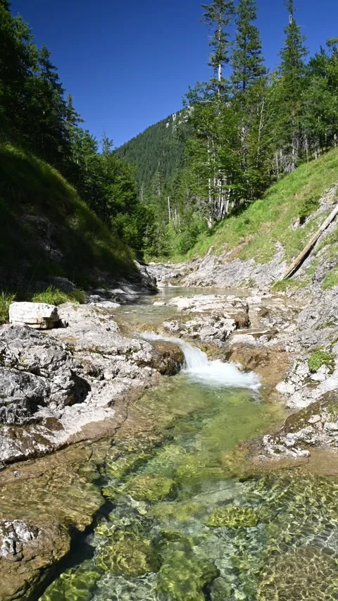 Wideangle shot of a mountain stream with a pond and a small waterfall, vertical Video stock 260878145