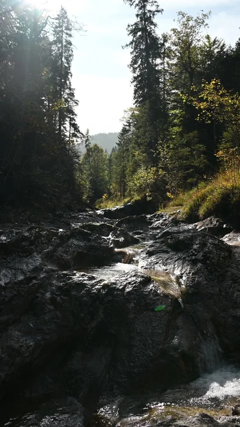 Wideangle shot of a mountain stream with rocks in an autumn forest, vertical Stock-Footage 260926365