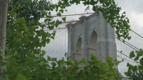 Wider low angle view of Brooklyn Bridge tower framed by fluttering leaves Stock Footage 340862828