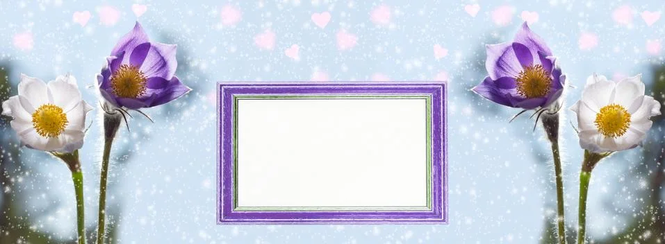 Widescreen background with the first spring snowdrops, snow and heart-shaped Fotos de archivo