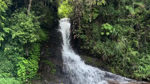 Widescreen view of a powerful waterfall in a green forest. Stock-Footage 344142490