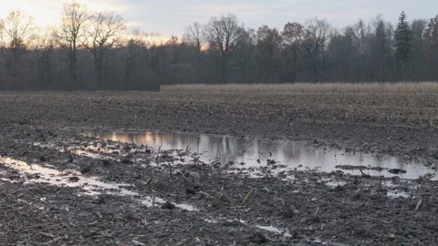 Widespread puddle situated in the center of a plowed plot. Decaying remnant.. Vídeos de archivo 259229544