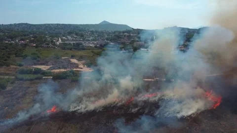 Widfire in the coast 스톡 동영상 314726631