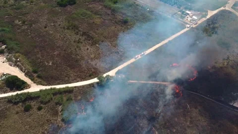 Widfire in the coast 스톡 동영상 314726637