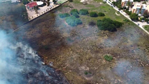 Widfire in the coast 스톡 동영상 314726709