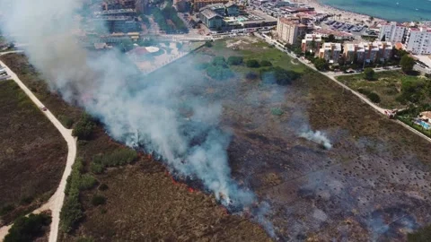 Widfire in the coast 스톡 동영상 314726720