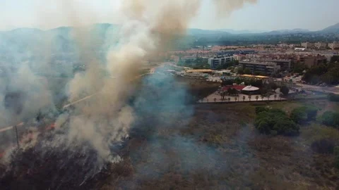 Widfire in the coast 스톡 동영상 314726735