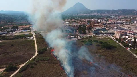 Widfire in the coast 스톡 동영상 314726746