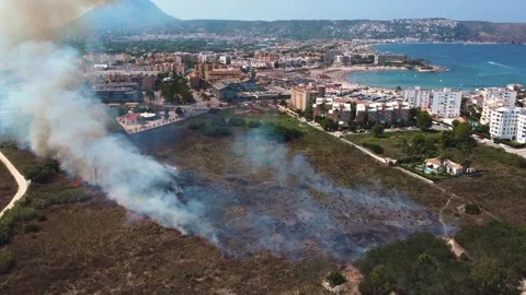 Widfire in the coast 스톡 동영상 314726754