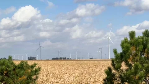 WidmillFarm 1 Stock Footage 219293692