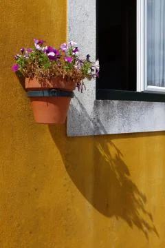 Widow With Vases Stock Photos