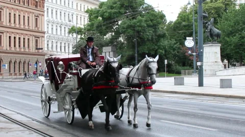 WIEN COACH Stock Footage 44835631