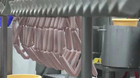 Wiener Meat Processing Plant and Food Industry Stock Footage 239605936