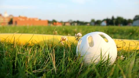 Wiffle Ball and Bat in Grass Stock Footage 12680645