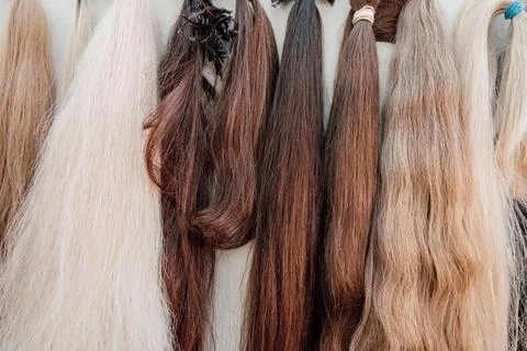 Wig blanks on the wall wig maker. Bundle of natural hair for hair extensions Stock Photos