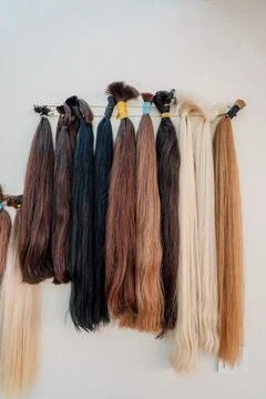 Wig blanks on the wall wig maker. Bundle of natural hair for hair extensions Stock Photos