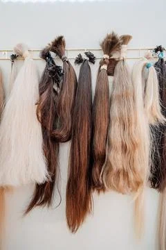 Wig blanks on the wall wig maker. Bundle of natural hair for hair extensions Stock Photos