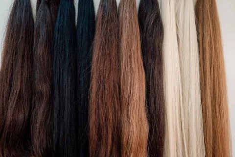 Wig blanks on the wall wig maker. Bundle of natural hair for hair extensions Stock Photos