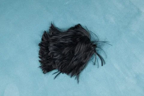 Wig on carpet Stock Photos