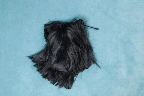 Wig on carpet Stock Photos