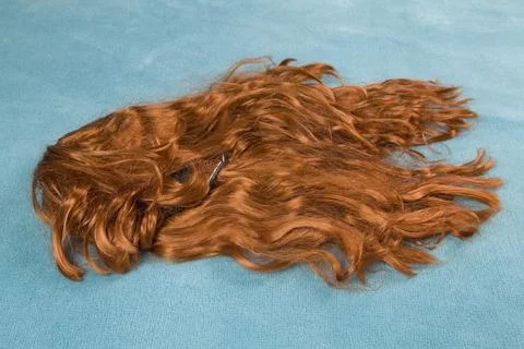 Wig on carpet Stock Photos