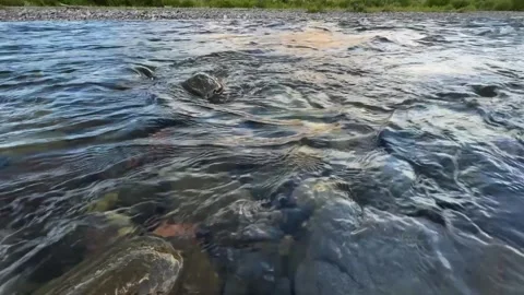 Wiggins Fork River Vídeos de archivo 330602941