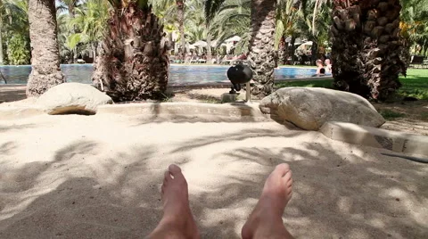 Wiggling feet Stock Footage 6976428