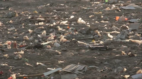 Wiggling garbage. Plastic, backlight Video stock 68861372