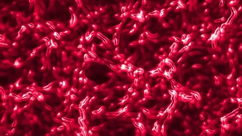 Wiggling microcosm Stock Footage 82252573