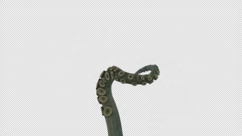 Wiggling Tentacle on Alpha 02 Stock Footage 157941057