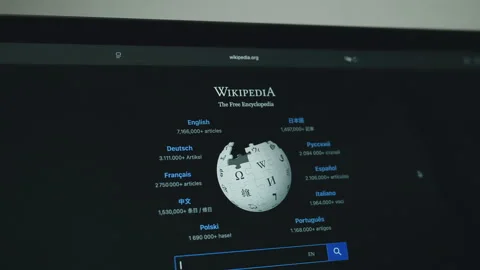 Wikipedia logo on a computer screen in dark mode Stock Footage 333537400