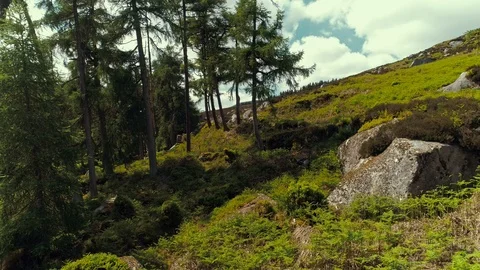 Wiklow june 2018 Stock Footage 90632092