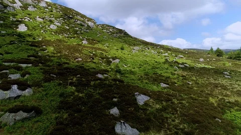 Wiklow june 2018 Stock Footage 93906217