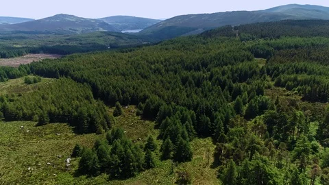 Wiklow june 2018 스톡 동영상 93906440