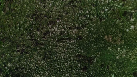 Wiklow june 2018 스톡 동영상 93906471