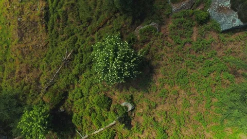 Wiklow june 2018 Stock Footage 93906711