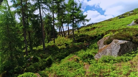 Wiklow june 2018 Stock Footage 93908297