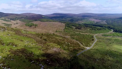 Wiklow june 2018 Stock Footage 93908678